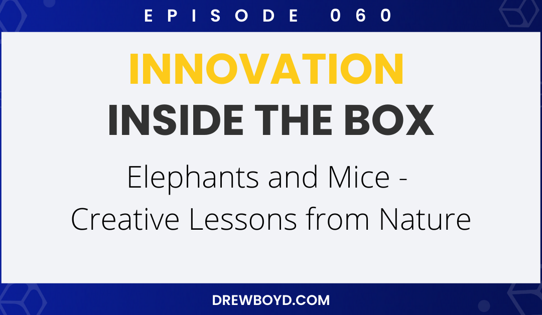 Episode 60: Elephants and Mice – Creative Lessons from Nature